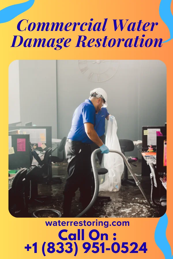 Commercial Water Damage Restoration in Crystal, ND